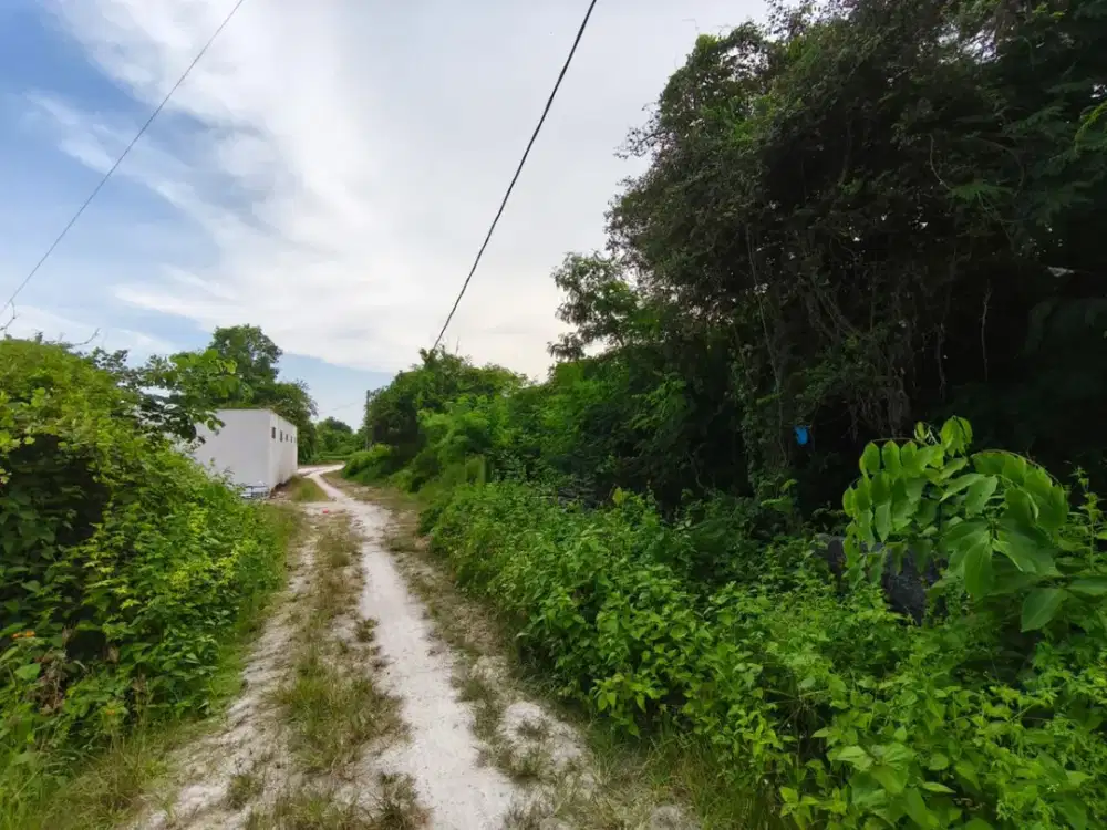 Investasi Bagus! Tanah MURAH dan STRATEGIS di Kampial, Nusa Dua