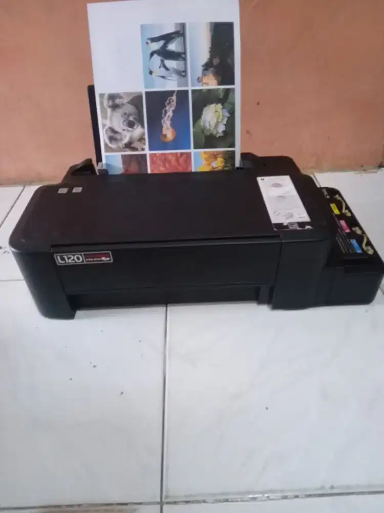 Printer epson l120