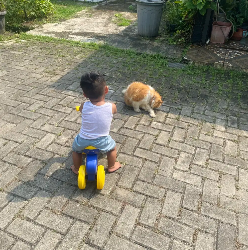 Dibutuhkan Pengasuh Anak