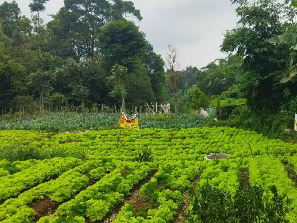 Tanah dekat Floating Market Lembang Jl. Areng Girang Kulon