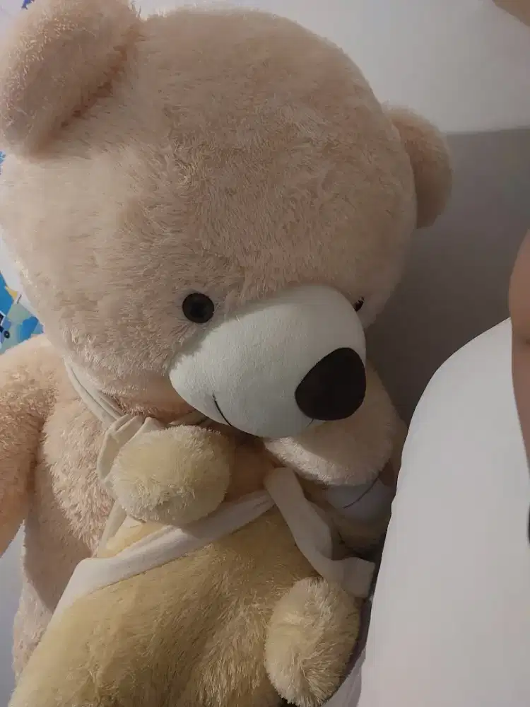 Boneka beruang super jumbo
