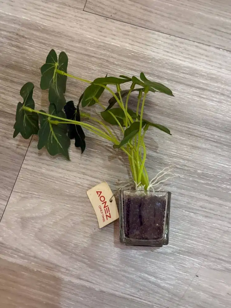 Dekorasi tanaman lili artificial