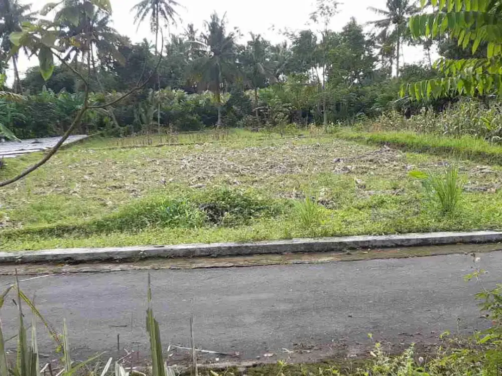 Jual Tanah Sawah Pakem Sleman