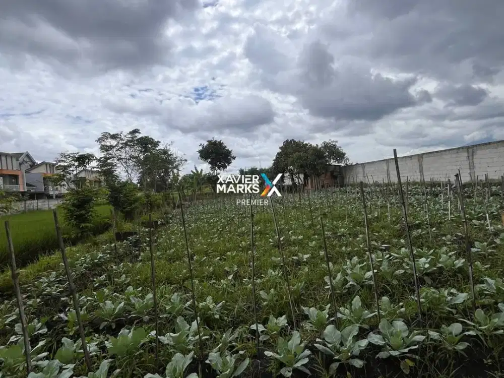 Tanah Zona Komersil Area Perumahan di Suhat Lowokwaru Malang