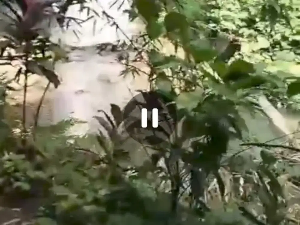 Dijual tanah murah dengan air terjun view pegunungan Wonosalam, Jombang