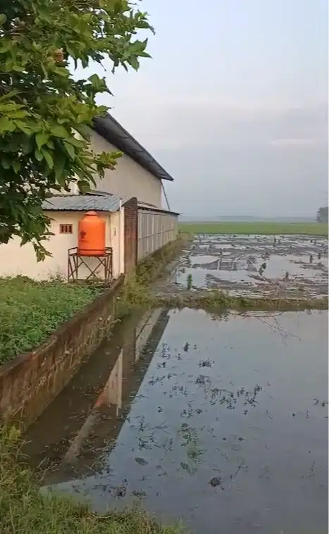 DIJUAL TANAH BOJONEGORO