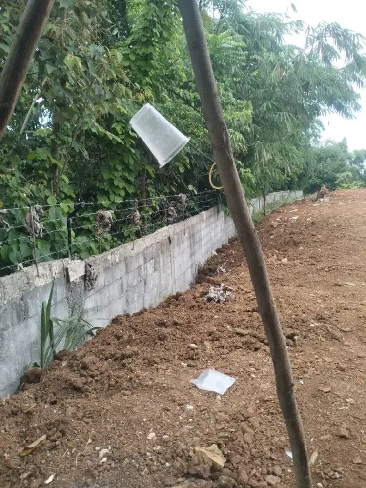 Angkat dan buang puing (jasa tranportasi )