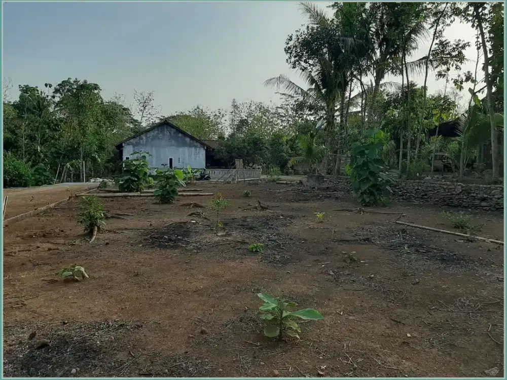 TANAH MURAH JOGJA DEKAT FASILITAS UMUM