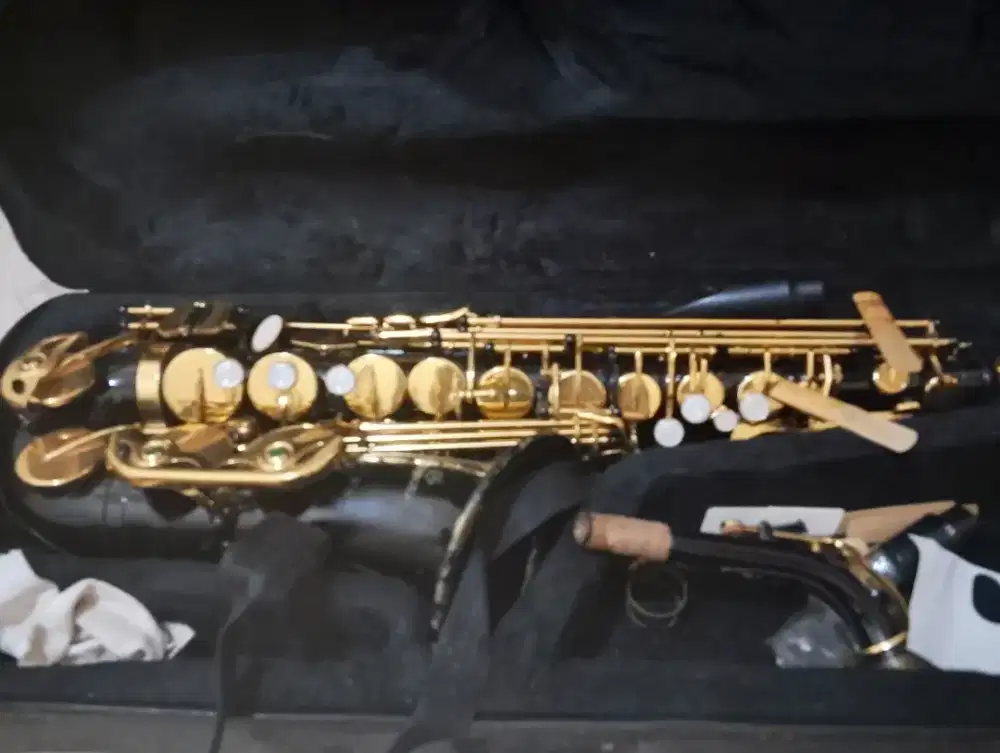 Jual cepat saxophone Mandalika 2.5 jarang dipake