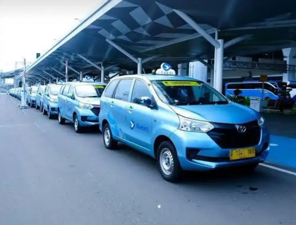 Driver supir sopir taxi bluebird