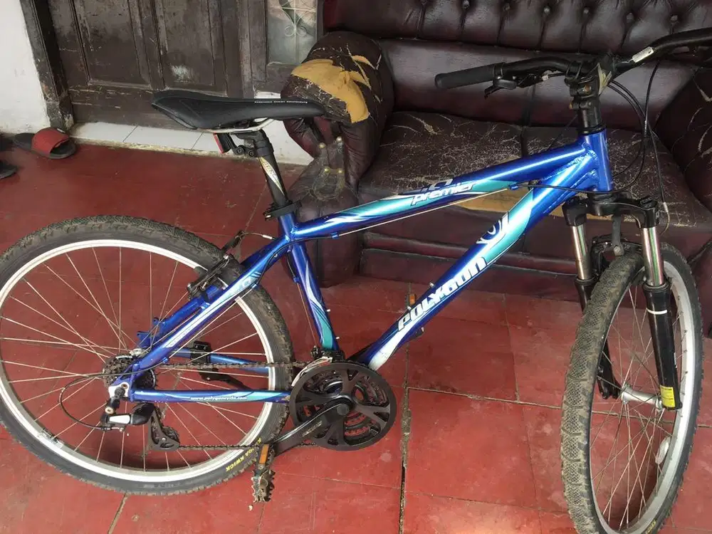 MTB Polygon Premier Series 2.0 uk26