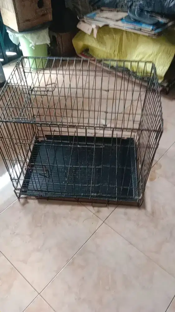 Kandang kucing. Anjing atau kelinci