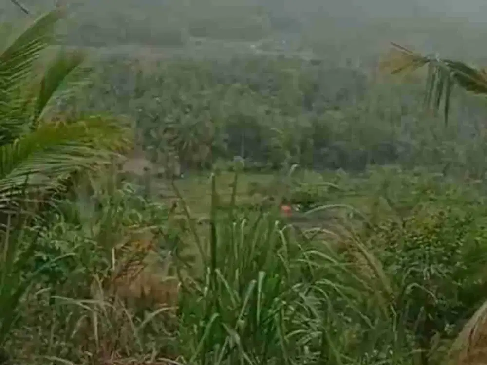 JUAL TANAH DI PERENG SENDANGSARI PENGASIH KULONPROGO VIEW SAWAH DAN GUNUNG