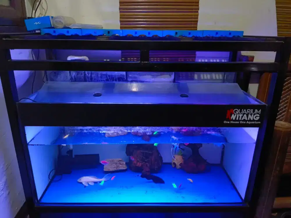 Dijual murah aquarium besar