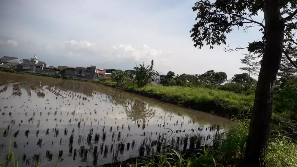 dijual tanah pinggir  jalan raya ke GBLA luas 4500 M  + 11500 M