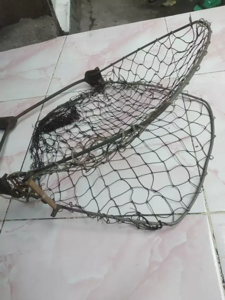 Jaring burung caplok