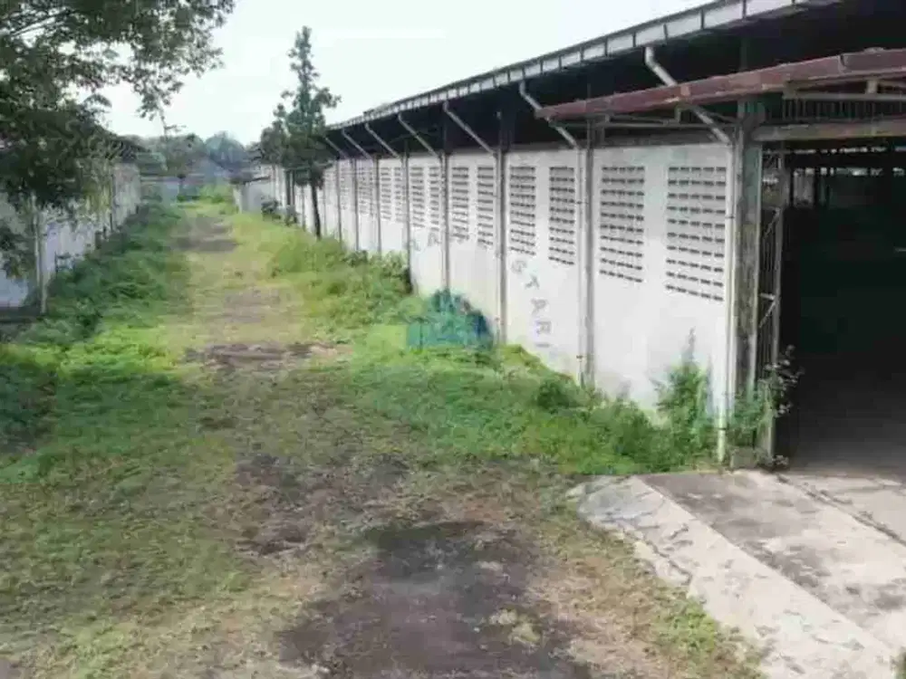 Jual Pabrik Industri di Jl. Raya Curug, Bitung - Tangerang