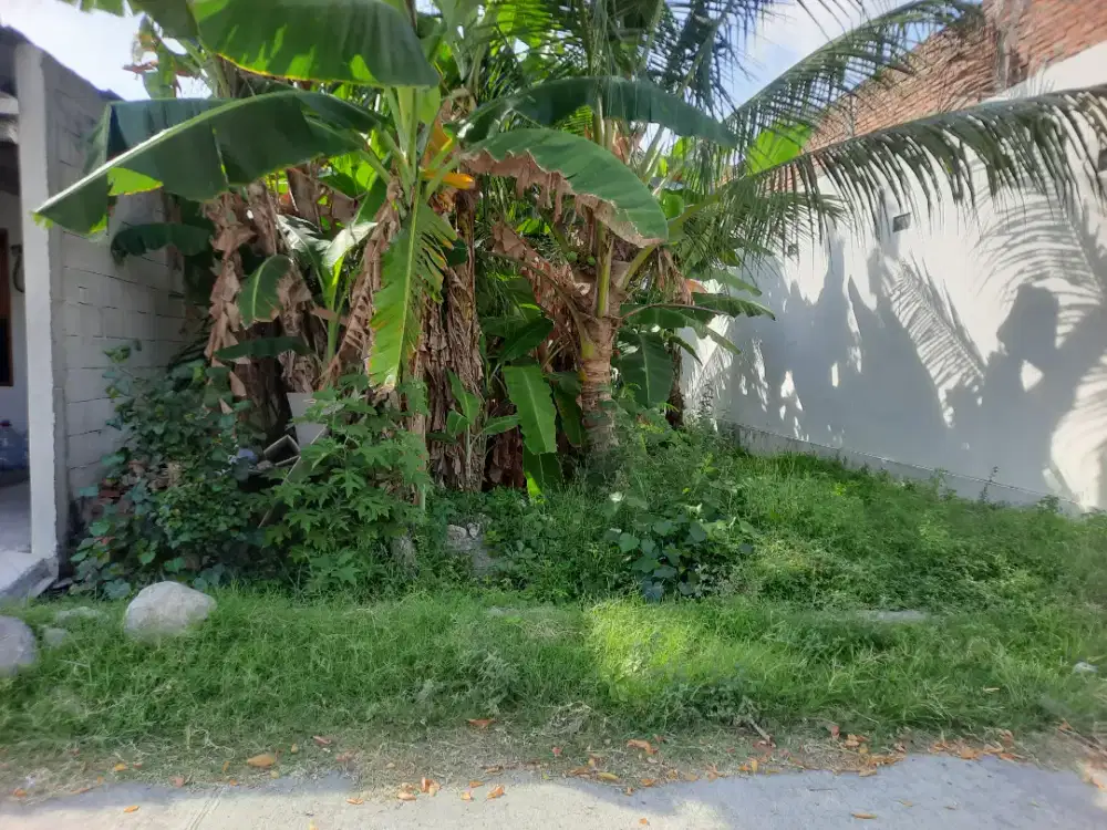 Di jual tanah kapling untuk Kos