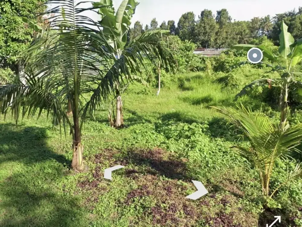 Dijual tanah di Kemenuh UBUD - Bali