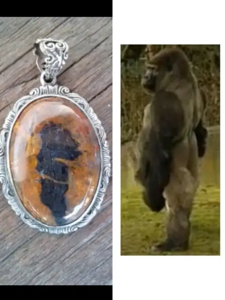 Batu gambar gorilla atu batu motif gorilla