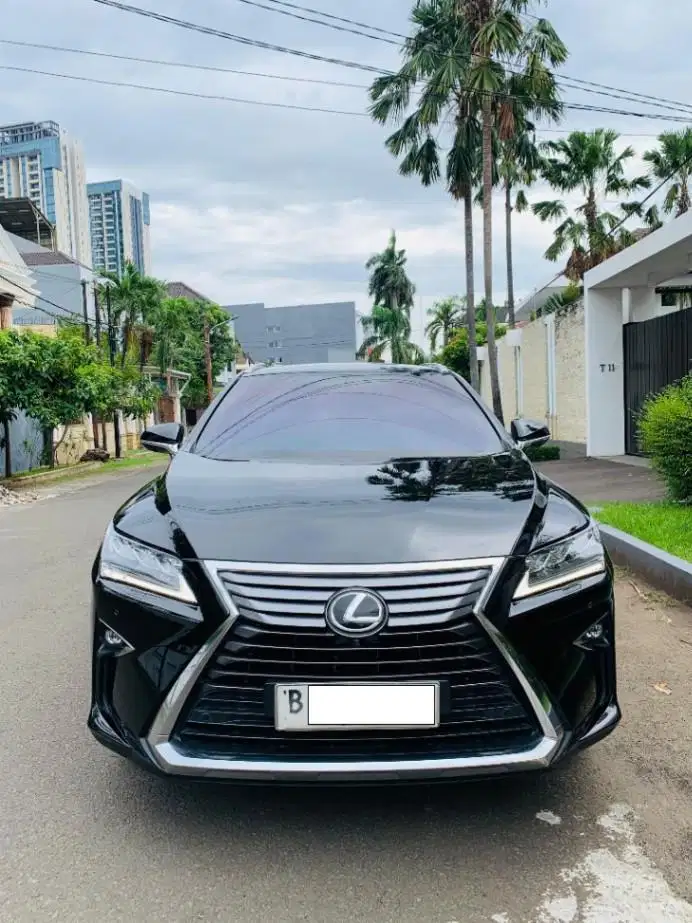 LEXUS RX300 LUXURY 4x2 AUTOMATIC 2019 (UNIT BAGUS, KM ASLI)