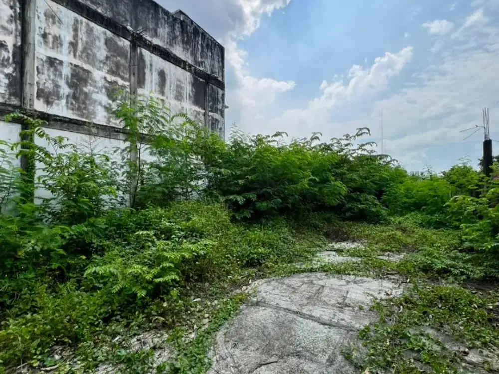 DIJUAL TANAH KENTEN RUSTINI DEKAT INDOGROSIR LUAS 1,100M2 BONUS RUMAH