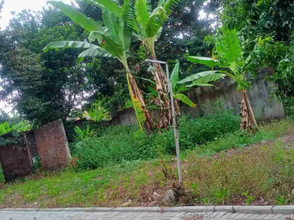TANAH DI JATIBARANG SEMARANG BARAT