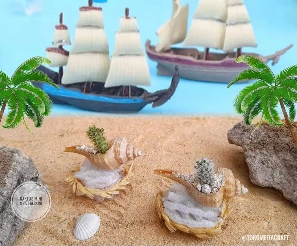 Kaktus Mammillaria dengan Vas Kerang Mini