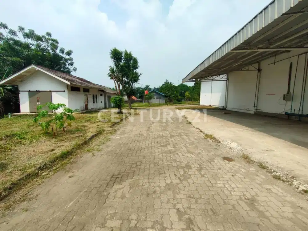 Ex Pabrik Pasar Kemis