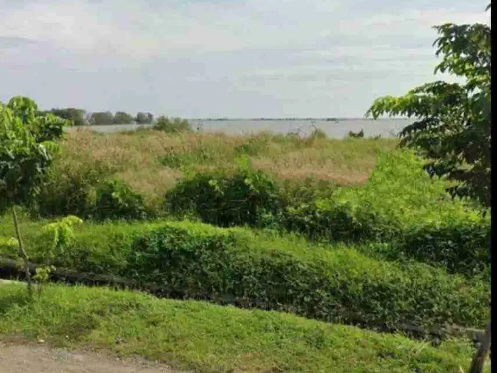 Sewa Gudang Di Kawasan Industri Wijaya Kusuma Tugu Semarang