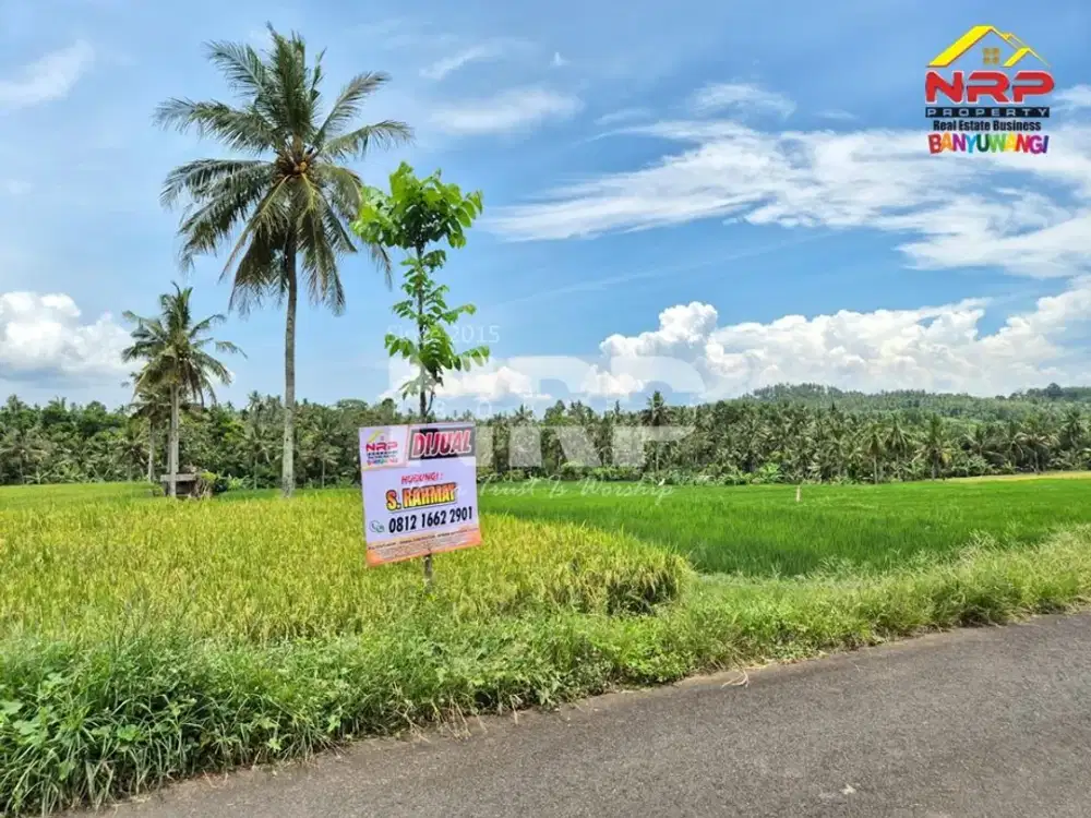 Dijual Tanah dengan Landscape yang cantik di tepi jalan Jelun - Banyuwangi