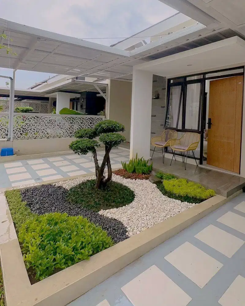 Jual Tanaman Outdoor