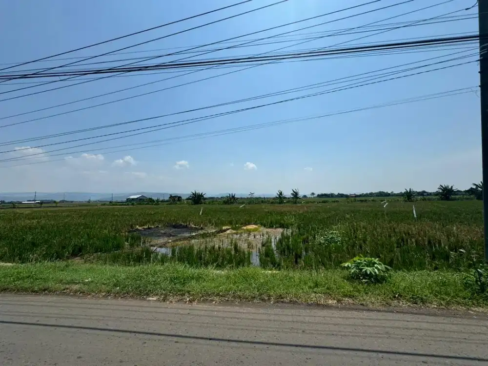 DIJUAL TANAH DI WELERI KENDAL