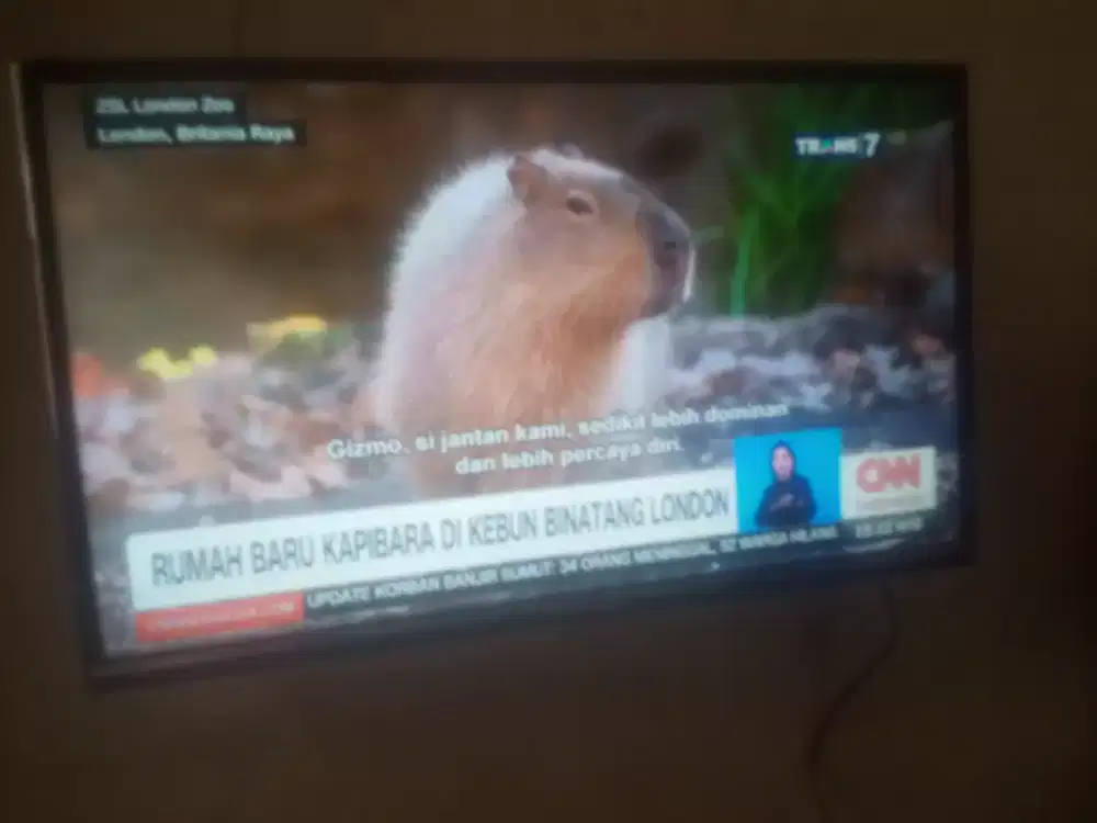 Tv led 32 inch changhong smart android normal siap tonton harga net