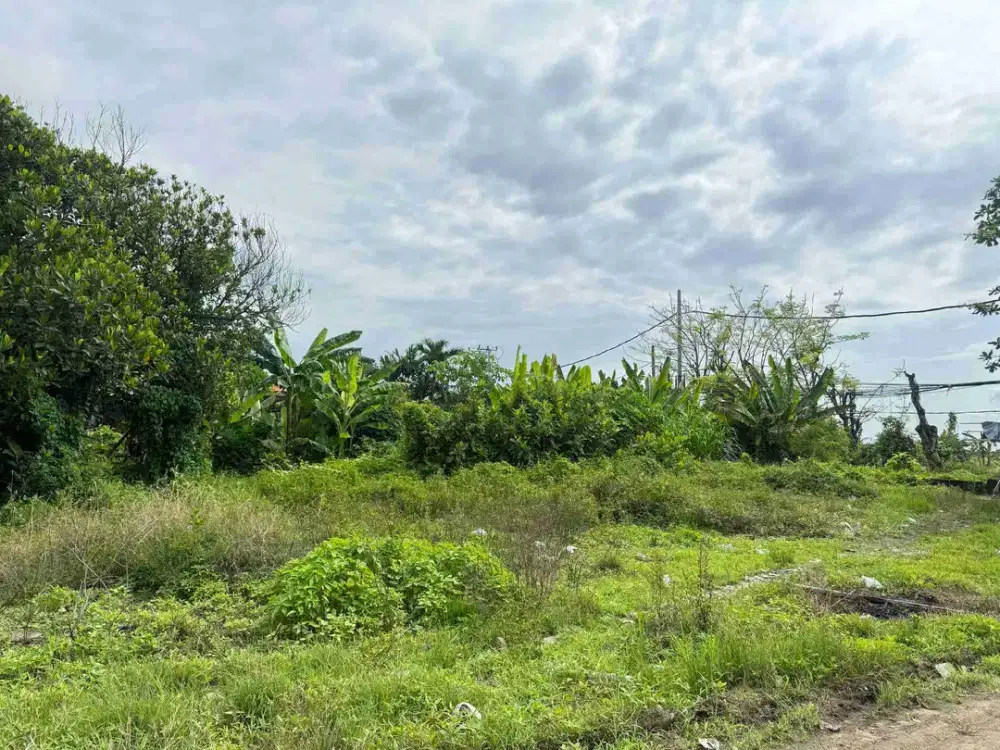 Tanah zona pariwisata ocean view padang galak sanur bali