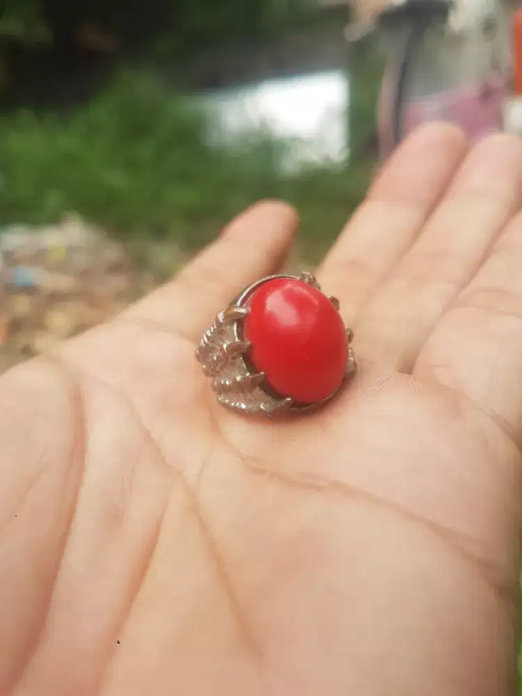 batu akik marjan dim 15