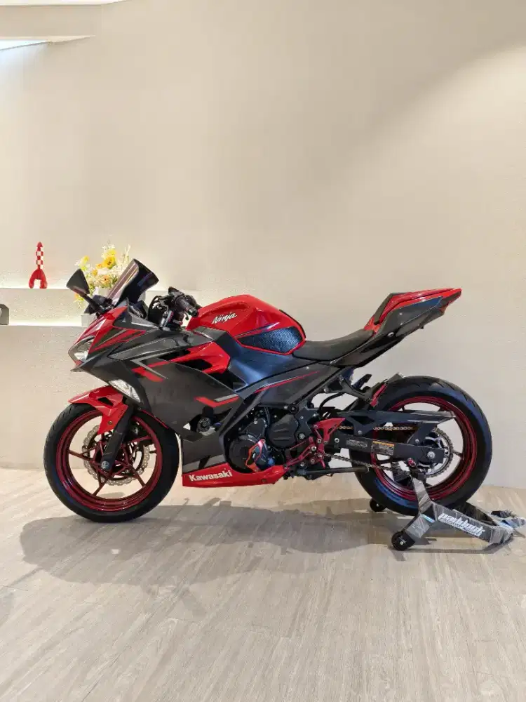 Kawasaki new ninja 250 red