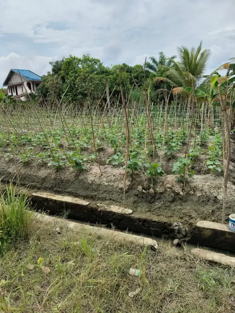 Di jual tanah kaplingan, SHM, depan jalan utama