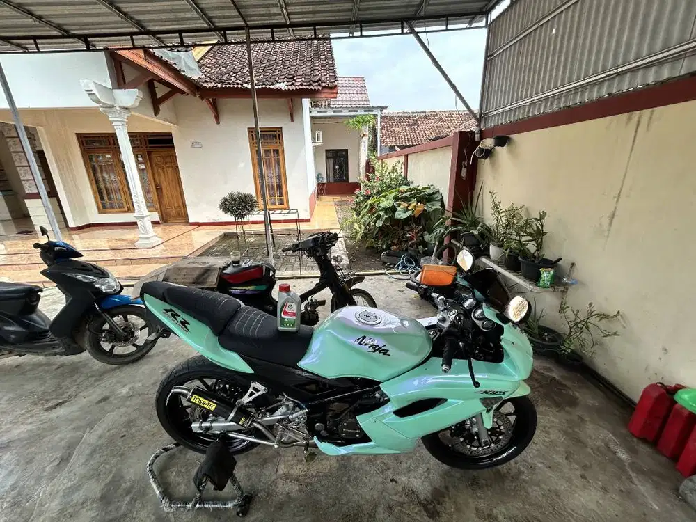 Ninja RR New - Old SE 2015