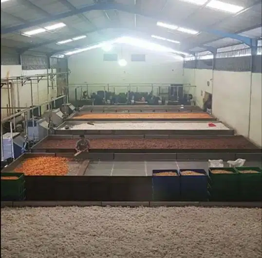 DIJUAL GUDANG DI PRAMBON MOJOSARI