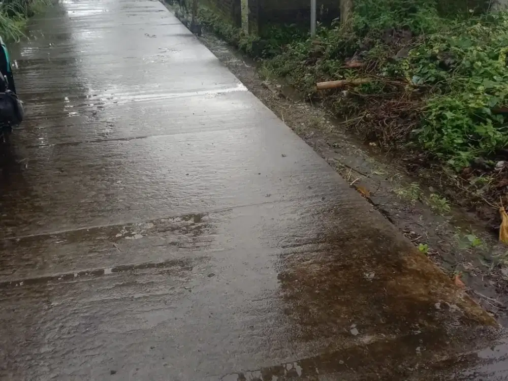 Tanah Sawah Dijual Murah Kalitirto Berbah Dekat Bandara Adisucipto