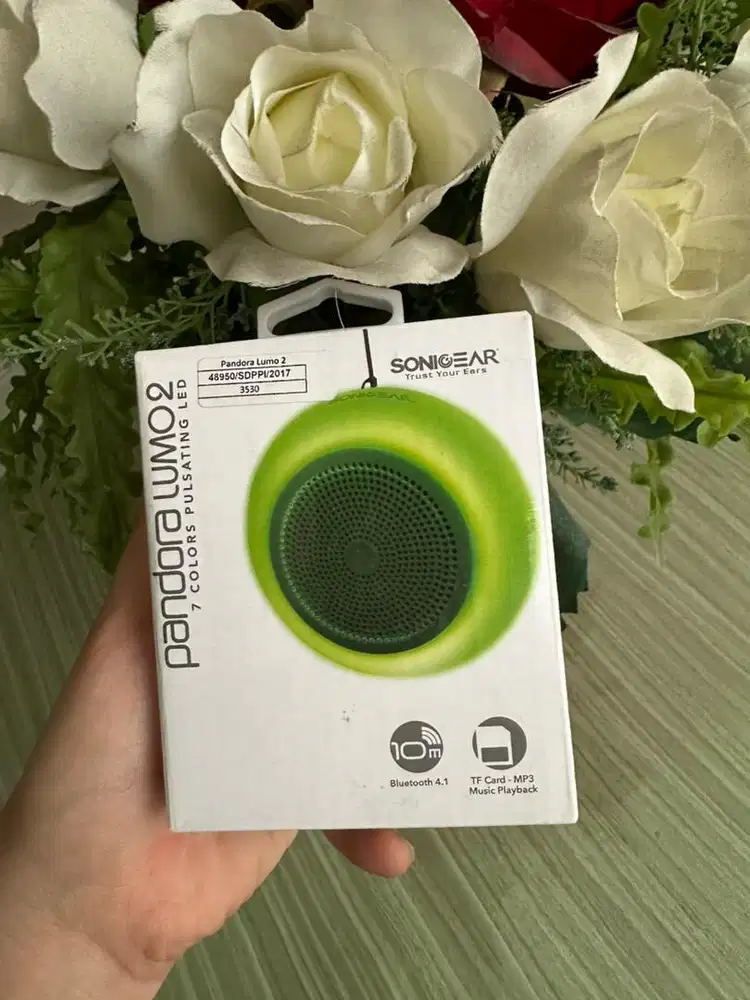 Pandora lumi 2 speaker