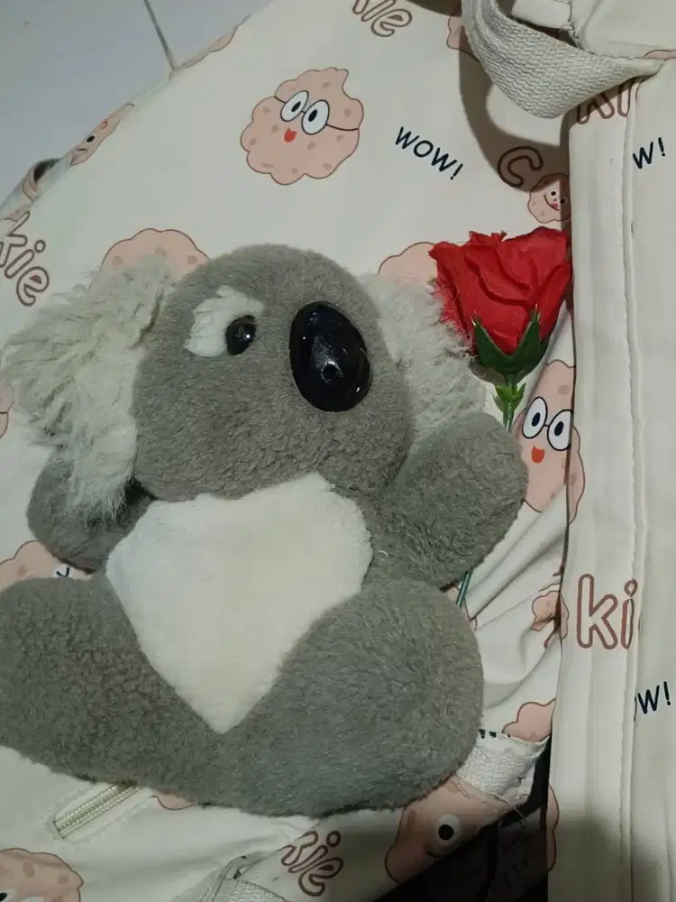 BONEKA KOALA - HSC 2025