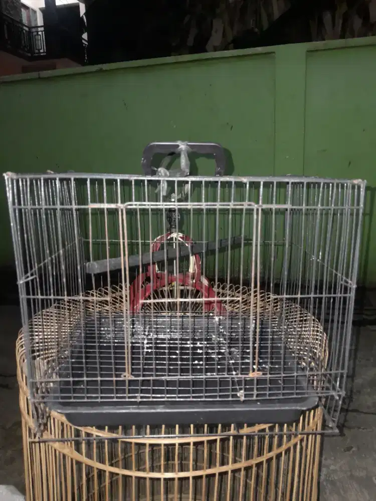 Kandang lakbet kotak ukuran 25x25