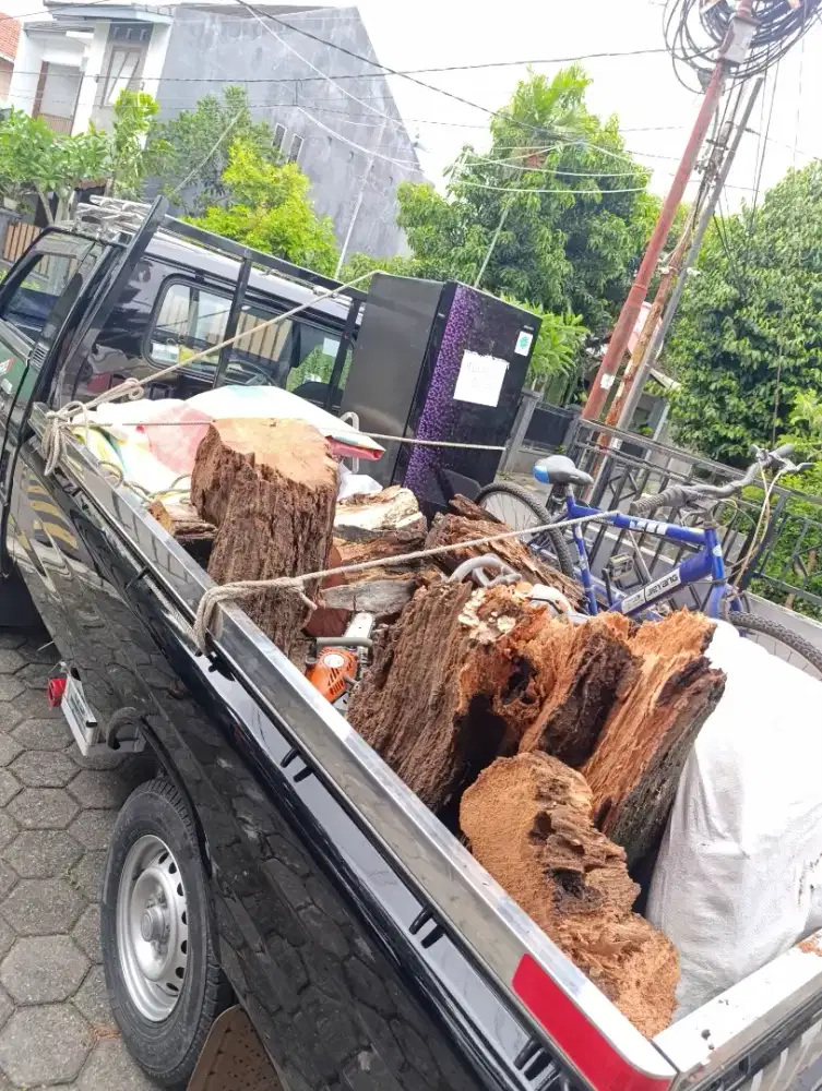 Jasa buang jasa tebang