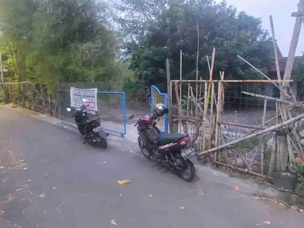 DIJUAL TANAH PEKARANGAN AREA JALAN DAMAI LEMPONGSARI RAYA