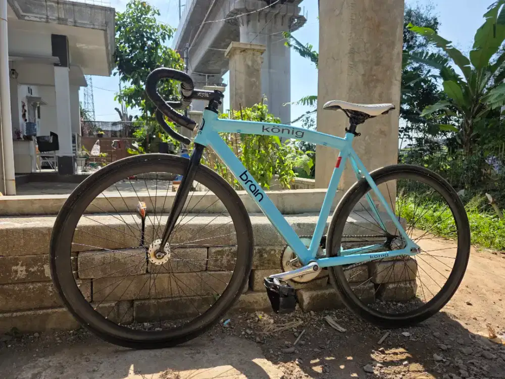 Fixie Doltrap konig Brain