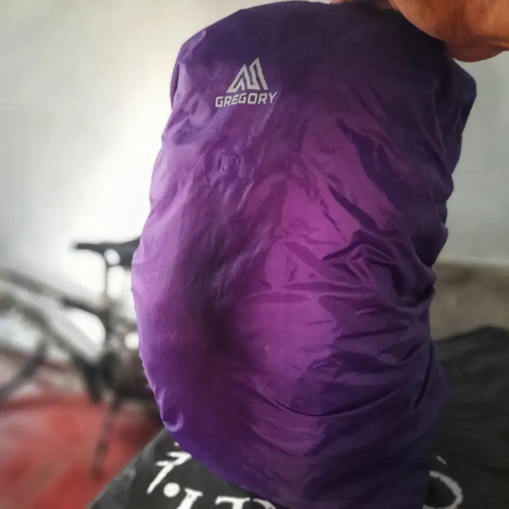 GREGORY special colour