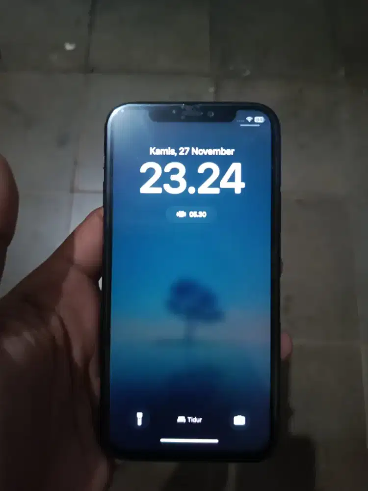 Ip 11 pro 256 GB Inter