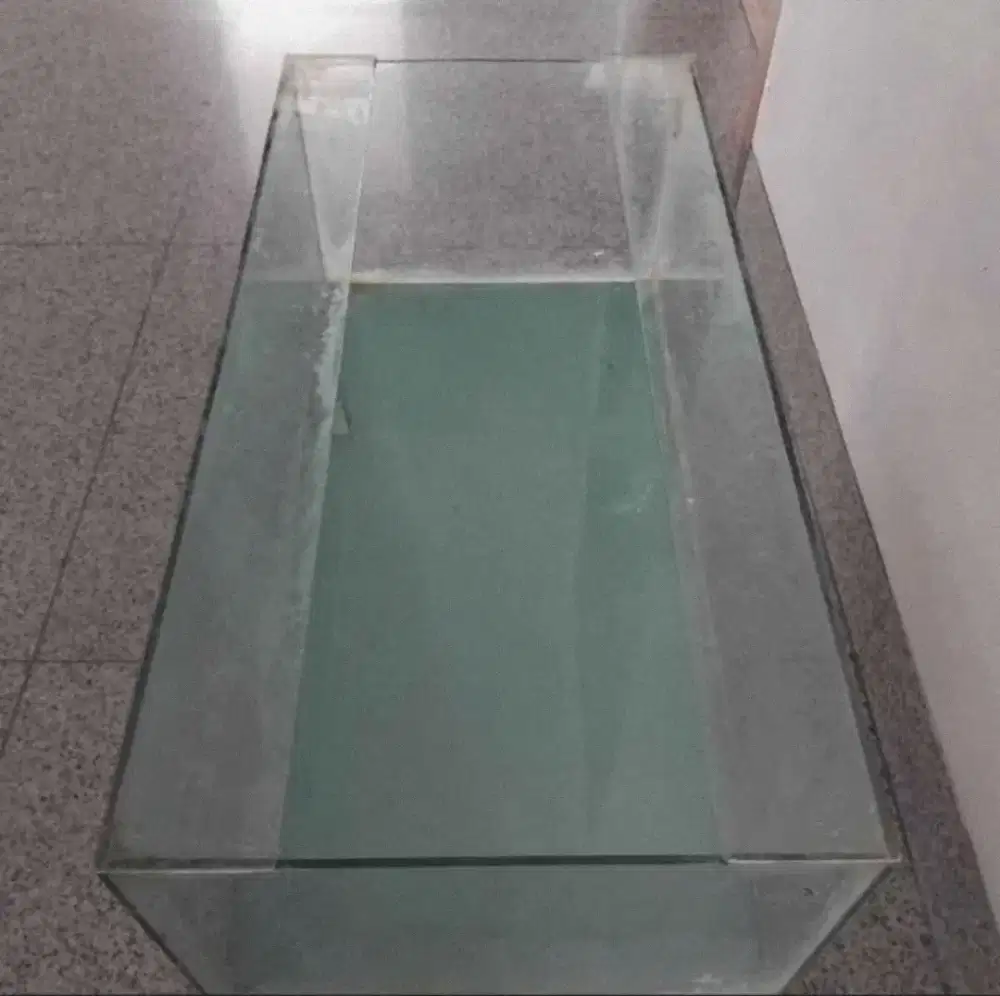 Jual aja bekas aquarium